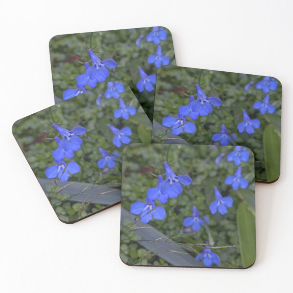 Item preview, Scattered Lobelia Sapphire Blooms, Botanical Garden Photography designed and sold by PrettyAround.