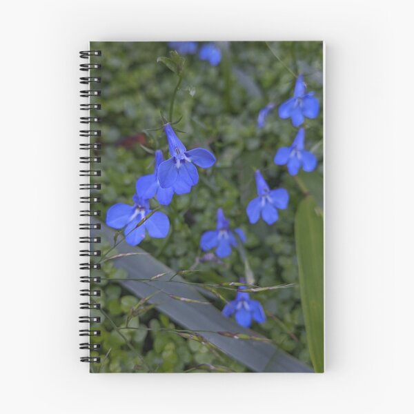 Item preview, Scattered Lobelia Sapphire Blooms, Botanical Garden Photography designed and sold by PrettyAround.
