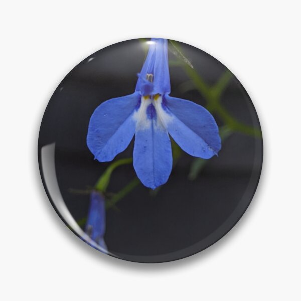 Item preview, Lobelia Sapphire Flower Detail, Macro Botanical Photography designed and sold by PrettyAround.