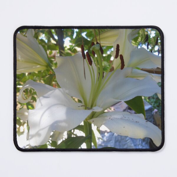 Item preview, Lilies designed and sold by Kashmere1646.