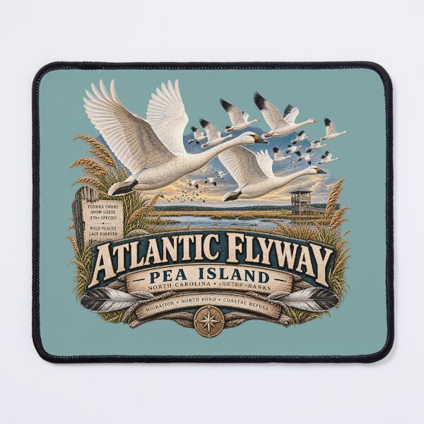 Item preview, Pea Island Atlantic Flyway Migration designed and sold by The Coastal Route.