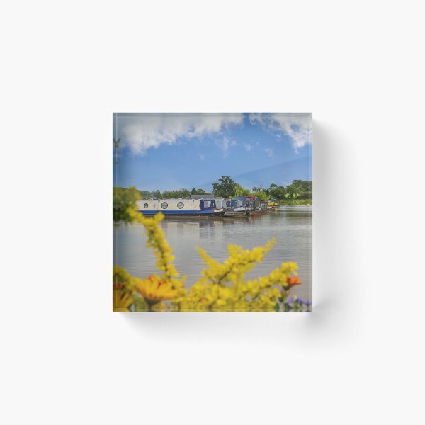 Item preview, Marina Life designed and sold by StephenRphoto.