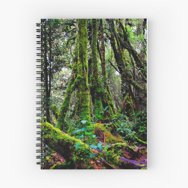 Item preview, Mossy Forest designed and sold by troianifabrizio.