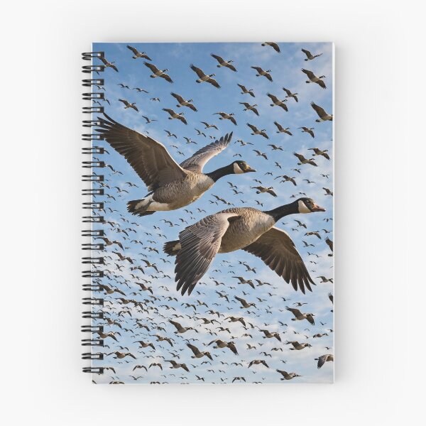 Item preview, Migratory Birds Flock  designed and sold by AwesomeDigiShop.