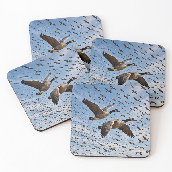 Item preview, Migratory Birds Flock  designed and sold by AwesomeDigiShop.