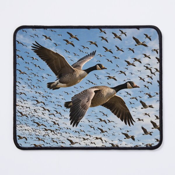 Item preview, Migratory Birds Flock  designed and sold by AwesomeDigiShop.