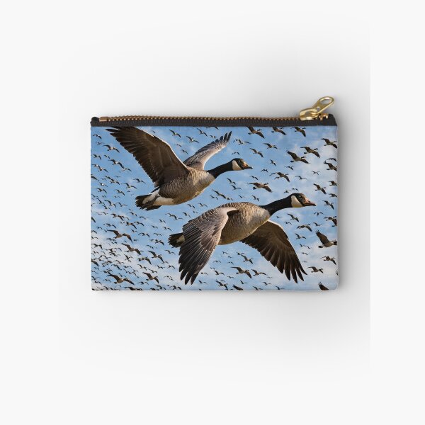 Item preview, Migratory Birds Flock  designed and sold by AwesomeDigiShop.