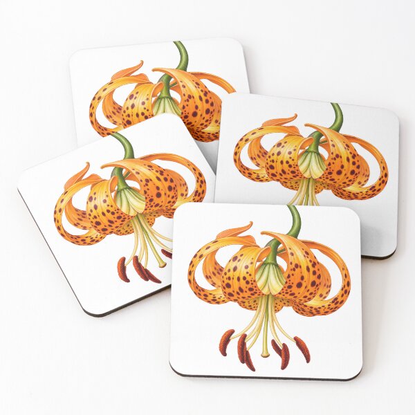 Item preview, Panhandle Lily designed and sold by scicilysimonee.