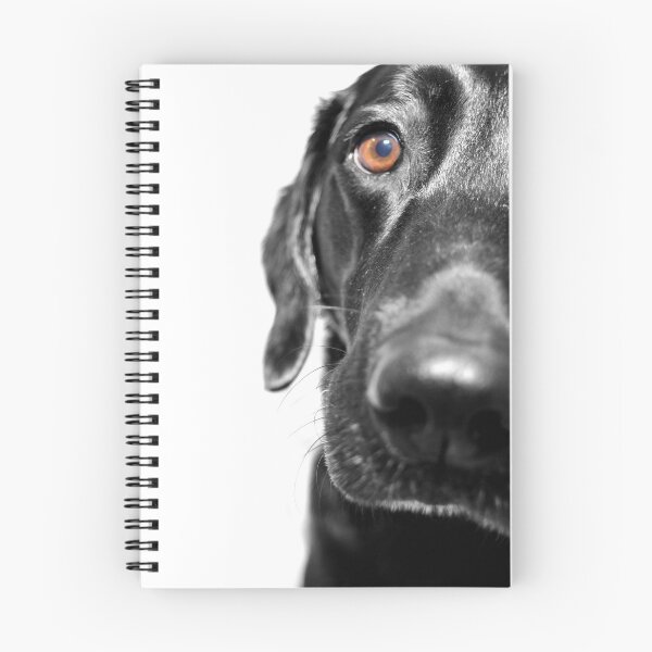 Item preview, Black Labrador portrait designed and sold by HoundieLover.