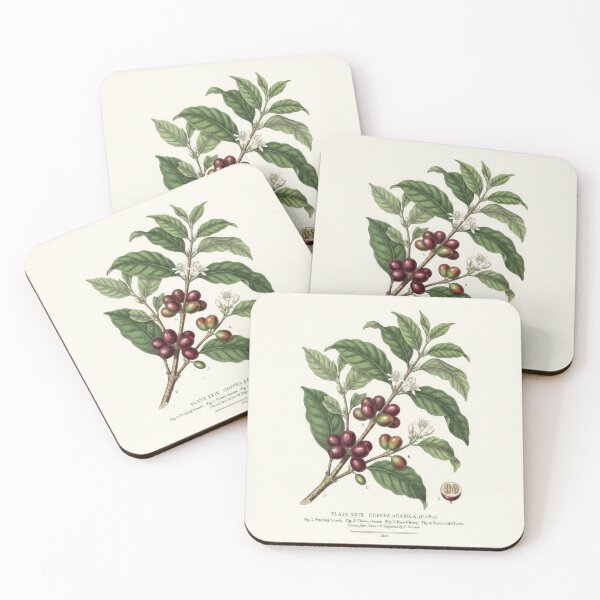 Item preview, Vintage Coffea Arabica Botanical Print Illustration designed and sold by Rahat3344.
