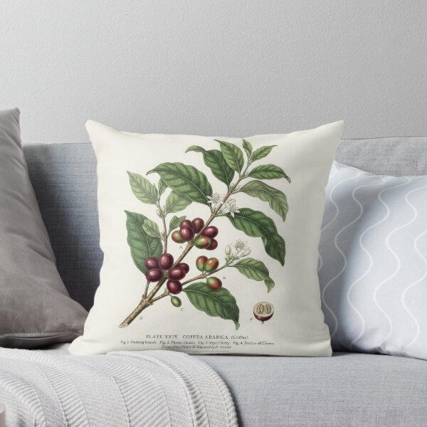 Item preview, Vintage Coffea Arabica Botanical Print Illustration designed and sold by Rahat3344.