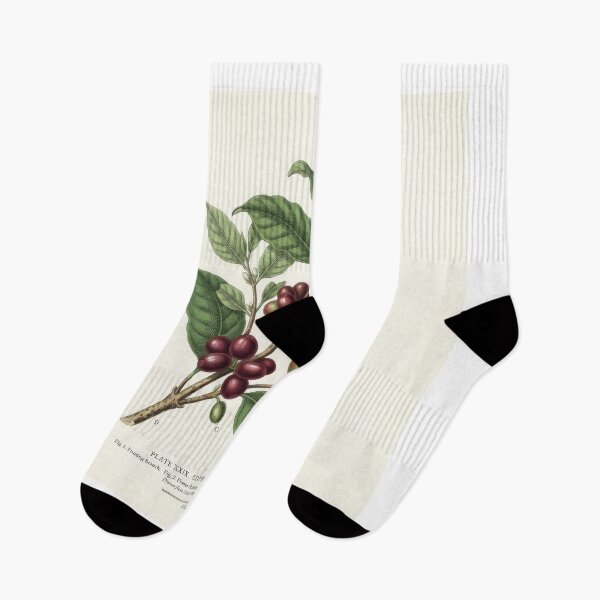 Item preview, Vintage Coffea Arabica Botanical Print Illustration designed and sold by Rahat3344.