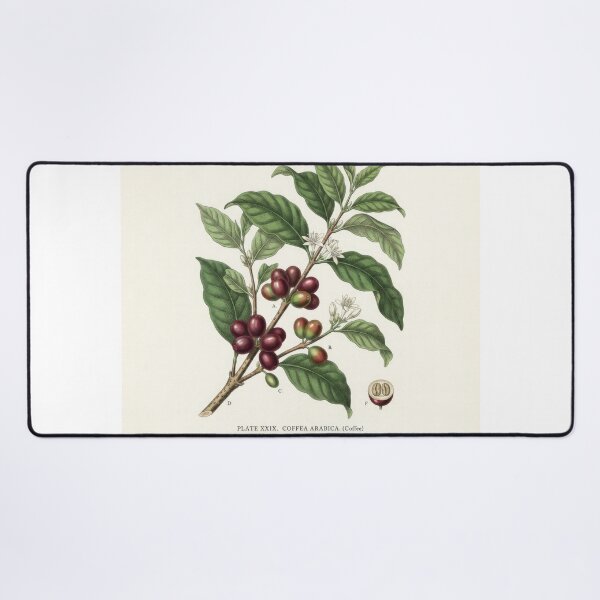 Item preview, Vintage Coffea Arabica Botanical Print Illustration designed and sold by Rahat3344.