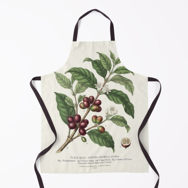 Item preview, Vintage Coffea Arabica Botanical Print Illustration designed and sold by Rahat3344.