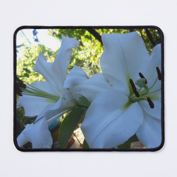 Item preview, Bluish Flowers designed and sold by Kashmere1646.