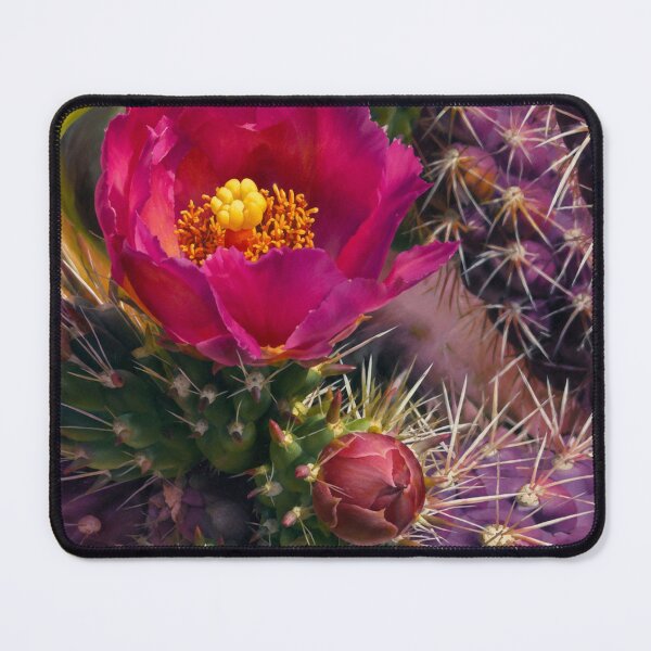 Item preview, Cactus Rose designed and sold by Sarah Curtiss.