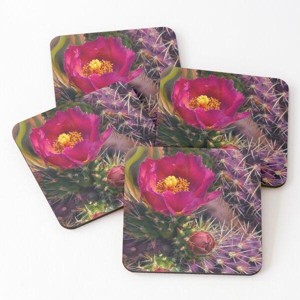Item preview, Cactus Rose designed and sold by Sarah Curtiss.