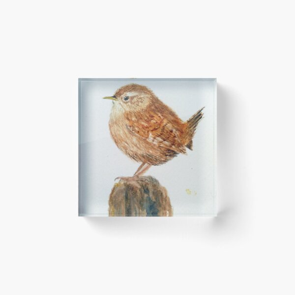Item preview, watercolour jenny wren designed and sold by HopeSumner.