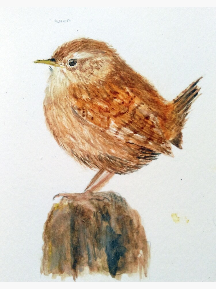 jenny wren paintings