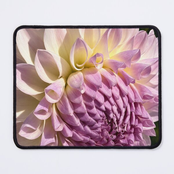 Item preview, Lavender Dahlia designed and sold by Sarah Curtiss.