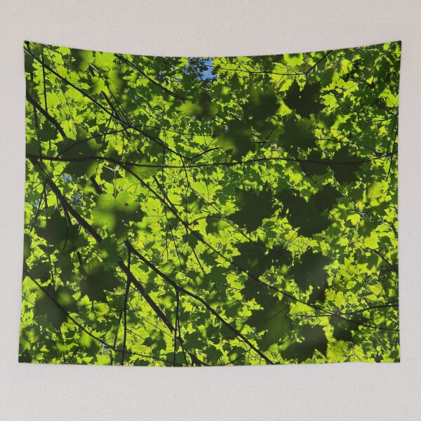 Item preview, Sunlit Maple Leaves designed and sold by bjtomiko.