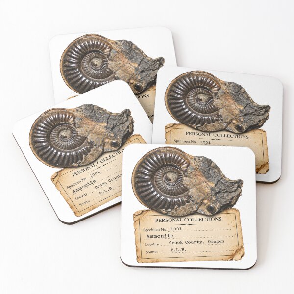 Item preview, Old school ammonite fossil designed and sold by Tara's Nature Shop.