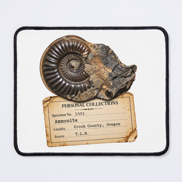 Item preview, Old school ammonite fossil designed and sold by Tara's Nature Shop.