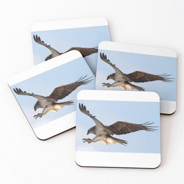 Item preview, Osprey in flight coming in to land designed and sold by BirdsAlive.