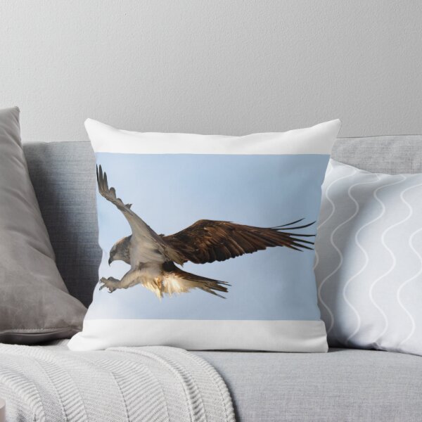 Item preview, Osprey in flight coming in to land designed and sold by BirdsAlive.