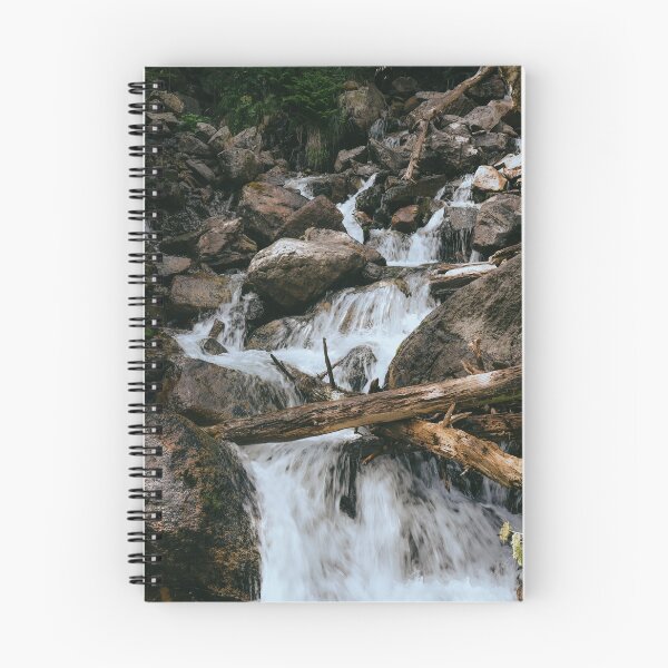 Item preview, Programming Animal Pak dData Stream designed and sold by stojundz.