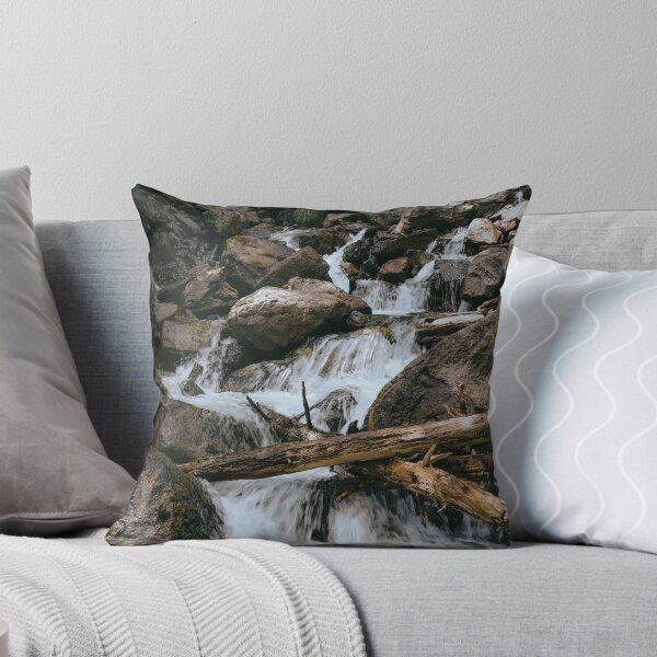 Item preview, Programming Animal Pak dData Stream designed and sold by stojundz.