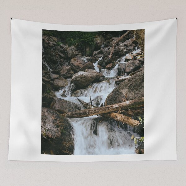 Item preview, Programming Animal Pak dData Stream designed and sold by stojundz.