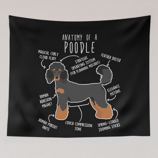 Item preview, Phantom Standard Poodle Dog Anatomy designed and sold by Clara Hollins.