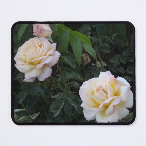 Item preview, Yellow Roses Picture designed and sold by Joyetical.