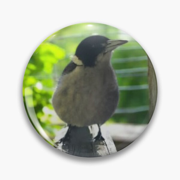 Item preview, Baby Grey Butcherbird Australian Native Bird T-Shirt | Australian Bird Lover Design designed and sold by Miho9999.