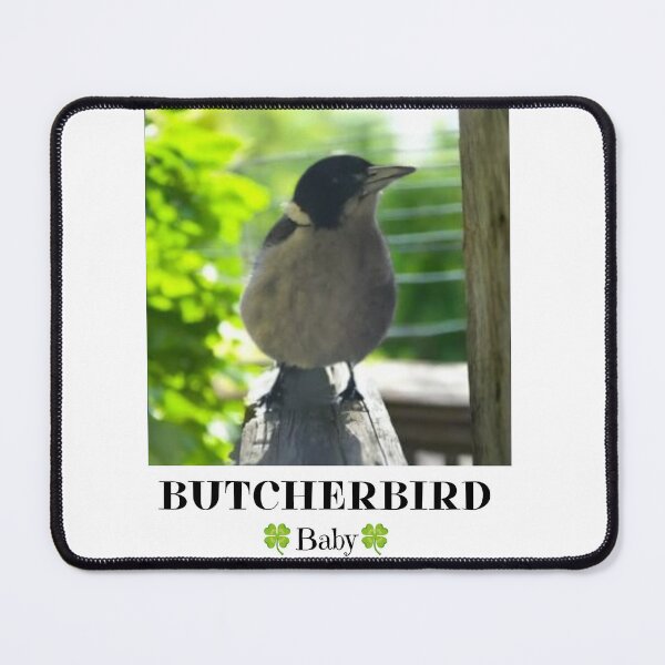 Item preview, Baby Grey Butcherbird Australian Native Bird T-Shirt | Australian Bird Lover Design designed and sold by Miho9999.
