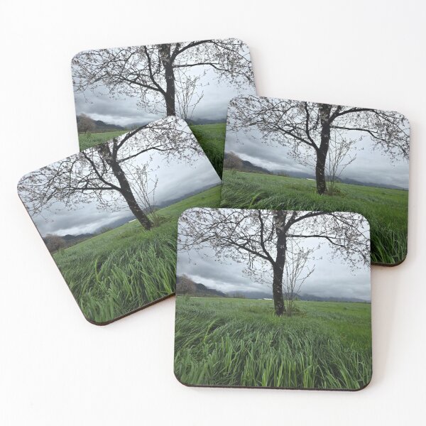Item preview, Botanical Apple Books Flower Elegance designed and sold by osakihi.