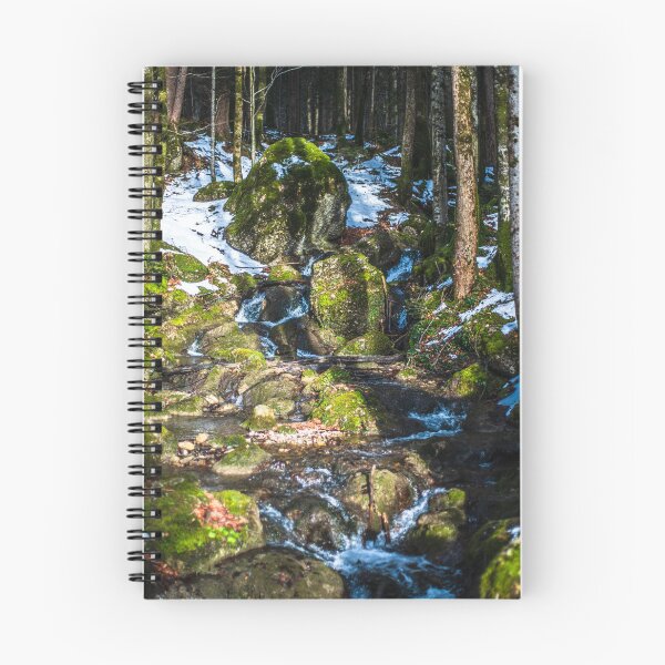 Aperçu de l'œuvre Marché aux fleurs saisonnier Apple Mac OS créée et vendue par osakihi.
