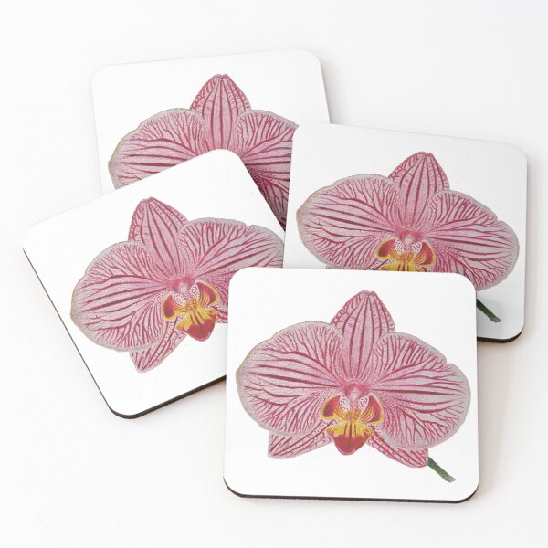 Item preview, Orchid designed and sold by emilydesign2023.
