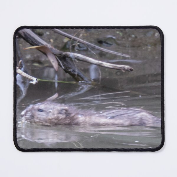 Item preview, North American Beaver Swimming-Side View designed and sold by WilesNailsPower.