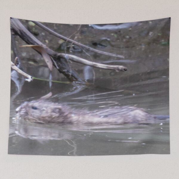 Item preview, North American Beaver Swimming-Side View designed and sold by WilesNailsPower.