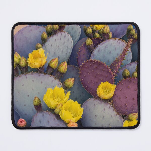 Item preview, Flowering Cactus designed and sold by Sarah Curtiss.