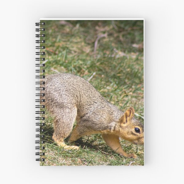 Item preview, American Red Squirrel designed and sold by WilesNailsPower.