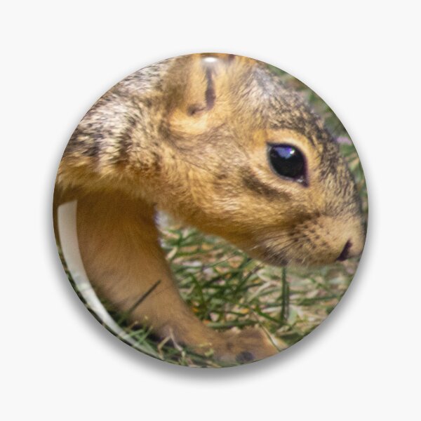 Item preview, American Red Squirrel designed and sold by WilesNailsPower.