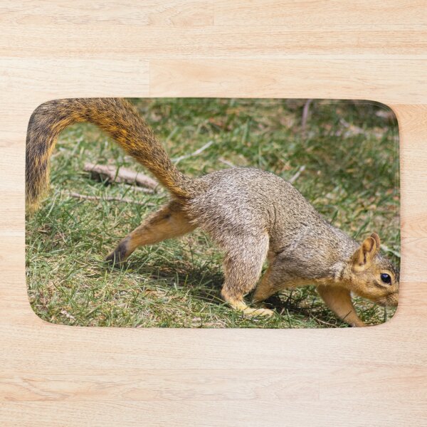 Item preview, American Red Squirrel designed and sold by WilesNailsPower.