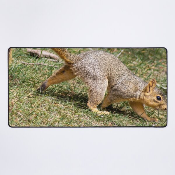 Item preview, American Red Squirrel designed and sold by WilesNailsPower.