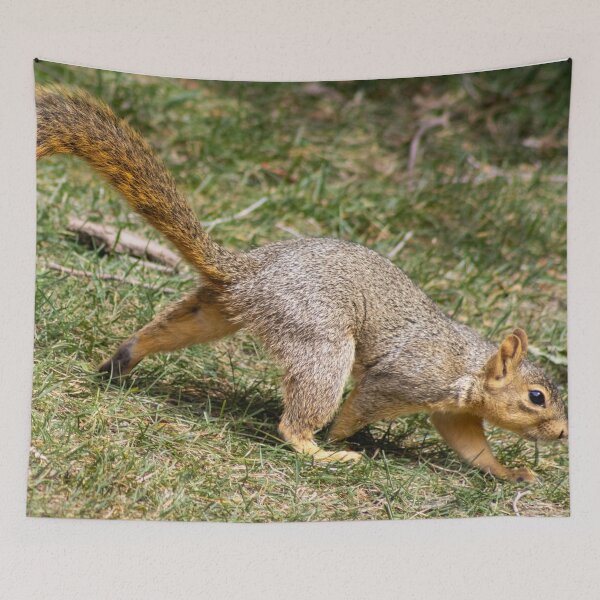 Item preview, American Red Squirrel designed and sold by WilesNailsPower.