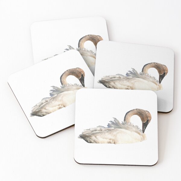 Item preview, Seney Trumpeter Swan Grooming designed and sold by naturetimes.