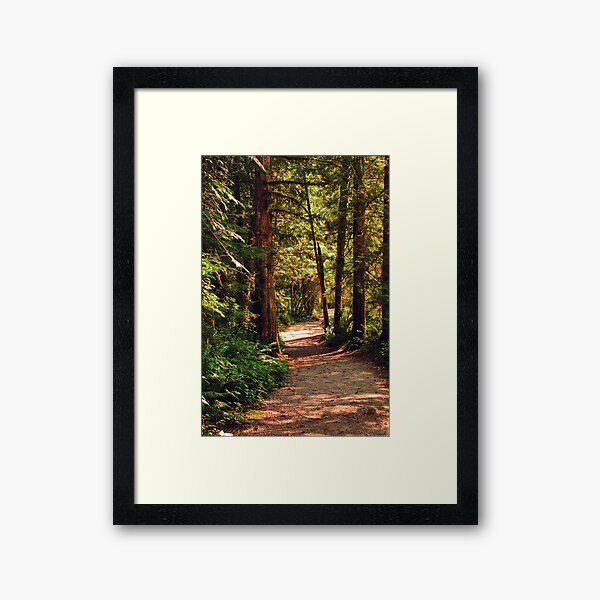 Item preview, A Walk through the Woods designed and sold by MaluC.