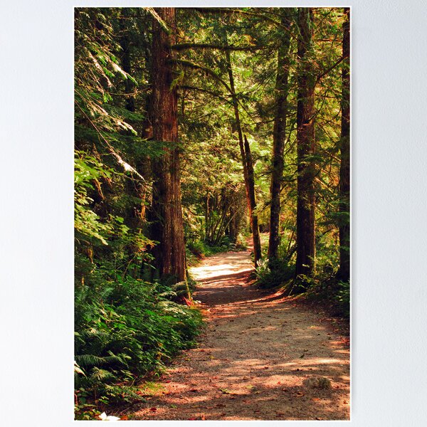 Item preview, A Walk through the Woods designed and sold by MaluC.